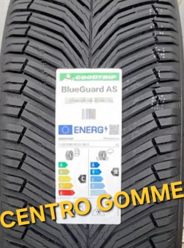 205 r16 91v - 4,